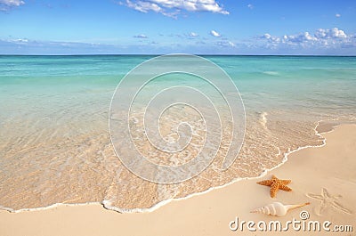 Sea shells starfish sand turquoise caribbean Stock Photo