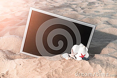 Sea shells. Starfish, seashells, toy plane and globe near blackboard on ocean nature beach. Tranquil beach scene with copy space Stock Photo