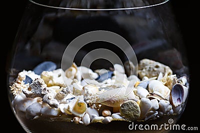 Sea shore shells, corals, stones in a glass bottle and wine glass Stock Photo