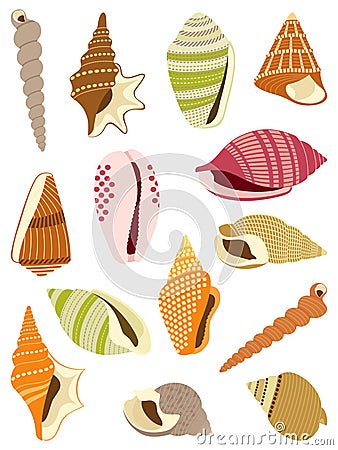 Sea snails shells Vector Illustration