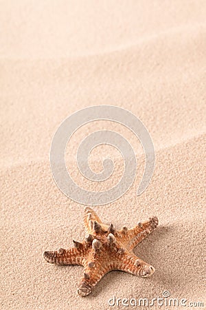 Sea star fish on sand of an idyllic tropical beacha star fish on sand of an idyllic tropical beach Stock Photo