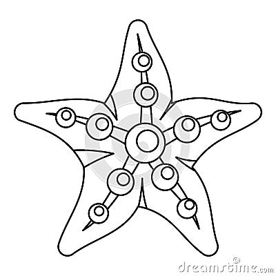 Sea star icon, outline style Vector Illustration