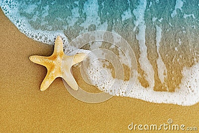 Sea star or starfish on sandy shore after the tide. Stock Photo