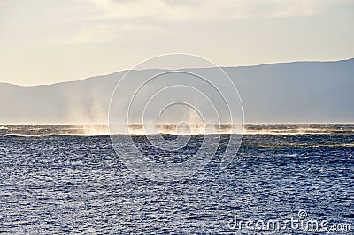 Sea. Strong wind. Visible white crests of the waves from strong north Croatian wind. Stock Photo