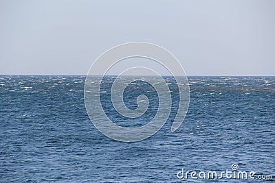 Sea. Strong wind. Visible white crests of the waves Stock Photo