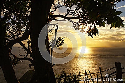Sea, sun, calm wave and the beach tree silhouettes. Golden sunset light over the ocean horizon with big tree and wooden fence. Stock Photo