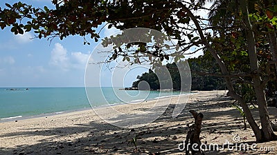 Sea sun sand and trees, relaxation beach in Thailand Stock Photo