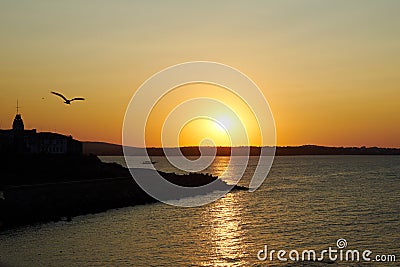 Sea sunset with gulls Stock Photo