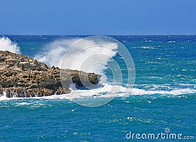 Sea Turtle Stock Photo