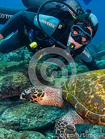 Sea Turtle close to scuba diver Editorial Stock Photo