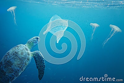 A sea turtle going to eat a plastic bag. Stock Photo