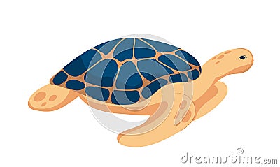 A sea turtle with a large colored shell swims underwater. Vector Illustration