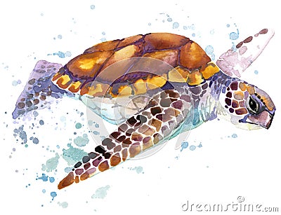 Sea turtle. Sea turtle watercolor illustration. Underwater word Cartoon Illustration