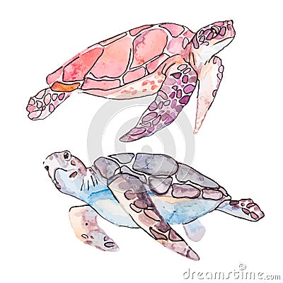 Sea turtles. Ocean vector. Vector Illustration