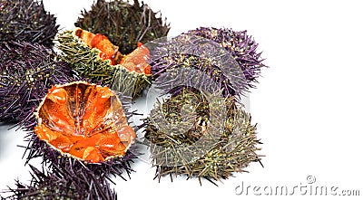 Sea Urchin with caviar close-up, isolated on white background Stock Photo