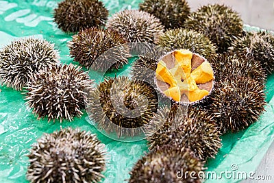 Sea urchin fresh uni Japanese fresh raw food in the shell at f Stock Photo