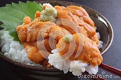 Sea urchin rice bowl Stock Photo