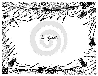 Hand Drawn of Aonori Seaweed on White Background Vector Illustration