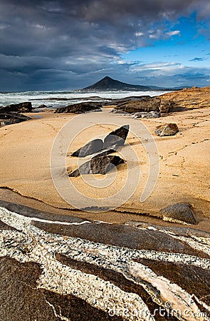 Sea Veins Stock Photo