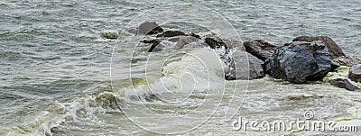 Sea wave with beach, Algal bloom Stock Photo