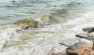 Sea wave with beach, Algal bloom Stock Photo