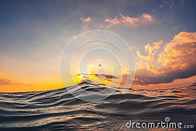 Sea ripple wave close up, low angle view, sunrise shot Stock Photo