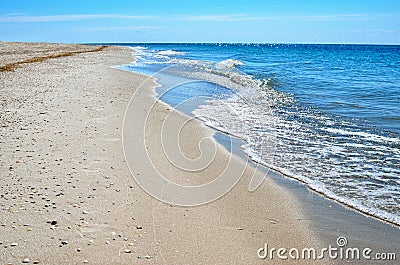 Sea waves washed clean beach made of shells. Landscape on a wild beach. Stock Photo