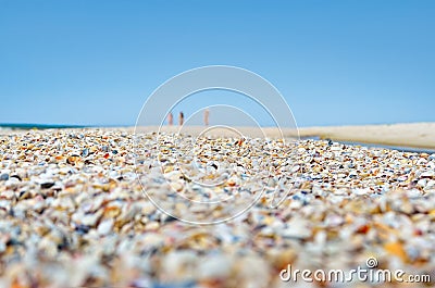 Sea waves washed clean beach made of shells. Stock Photo