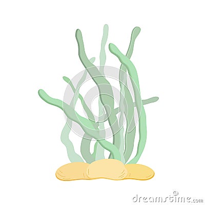 Sea weed cute wildlife vector illustration, underwater sea plants cartoon image for kids Vector Illustration