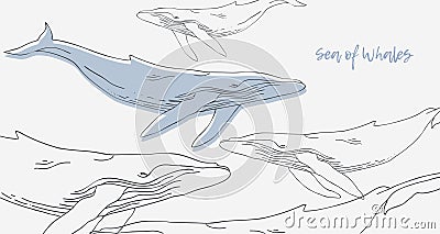 Sea of Whales.Hand draw linear graphically simple silhouette whales.background for cards, posters, flyers, invitations Vector Illustration