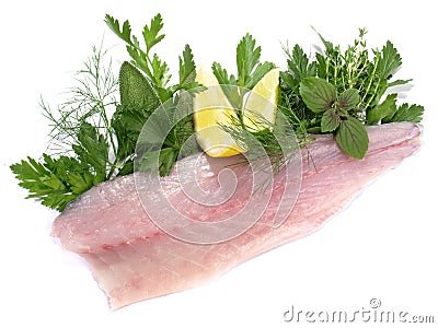 Sea Wolf - Fish Fillet with Herbs isolated Stock Photo