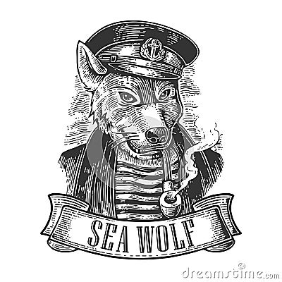 Sea wolf with pipe and ribbon. Vector Illustration