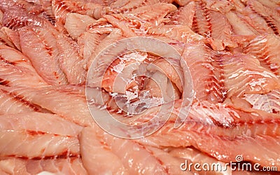 Seabass raw, hamour, grouper fish, sea bass fillet sliced and piled in bulk in fish market Stock Photo