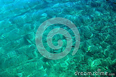 Seabed Stock Photo