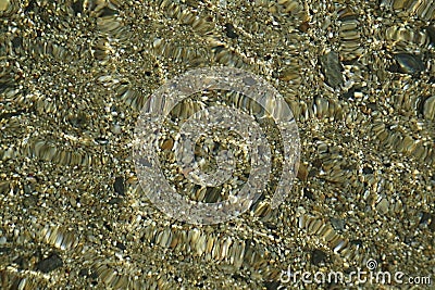 Seabed on the beach. Small pebbles, sand and glare on the water. Stock Photo
