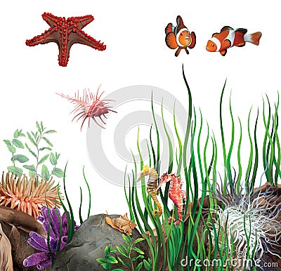 Seabed. Sea star, clown fish, sea horses,shells. Cartoon Illustration