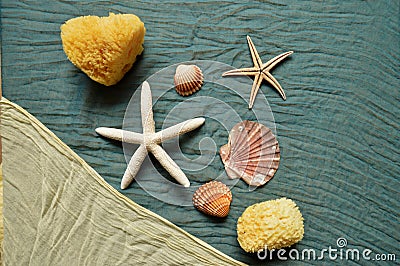 Seabed composition with stars, shells and sponges Stock Photo
