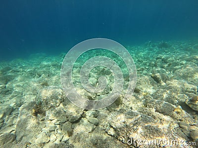 Seabed in Noli, Liguria - Italy Stock Photo