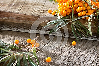 Seabuckthorn berries branch on vintage wooden background. Space for your text Stock Photo