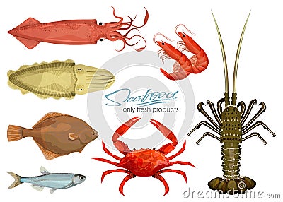 Seafood in cartoon style. Icons. Vector illustrations. Set squid, cuttlefish, crab, shrimp, spiny lobster, flounder fish Vector Illustration