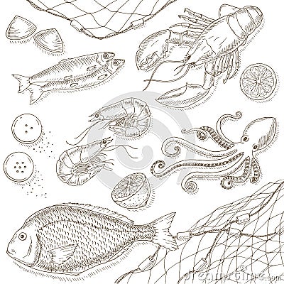 Seafood and fish set Vector Illustration