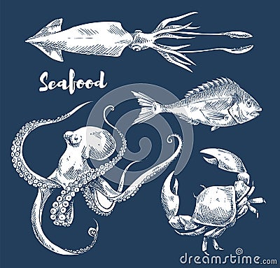 Seafood and Fish Sketch Engraving Illustration Vector Illustration