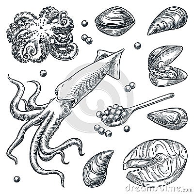 Seafood and fresh raw fish set. Hand drawn vector sketch illustration. Sea food restaurant or market design elements Vector Illustration