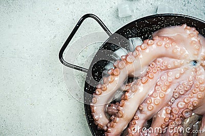 Seafood fresh whole octopus Stock Photo