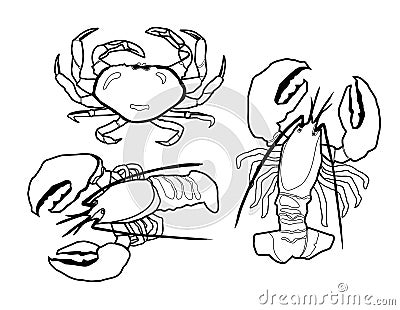 Seafood Group Vector Illustration