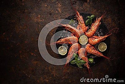 Seafood on a grungy rusty background Stock Photo
