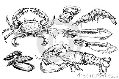Seafood hand drawn collection Vector Illustration