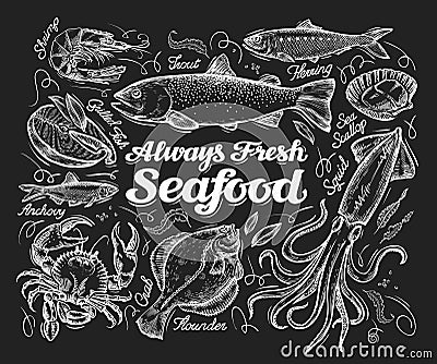 Seafood. Hand drawn sketch of a fish, trout, flounder, herring, squid, crab, anchovies, shrimp, scallop. vector Vector Illustration
