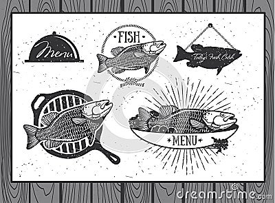 Seafood labels, fish packaging design Vector Illustration