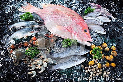 Seafood in market over ice Stock Photo